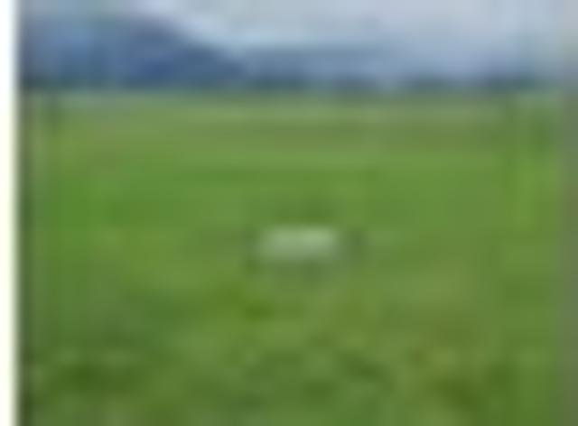 Waihou Sections with No Covenants