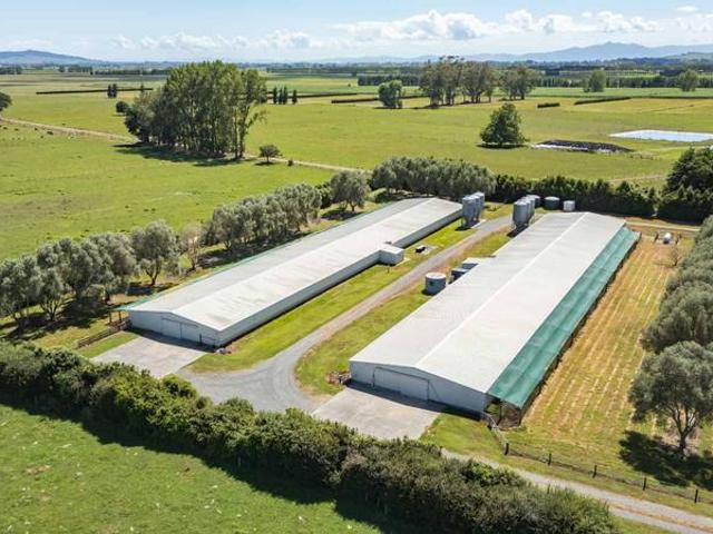 Waikato For Sale