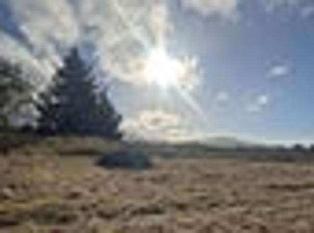 Waikouaiti, 4 bedrooms, $600 pw