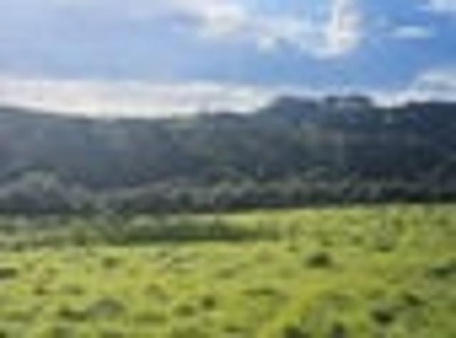 Waipu 1 Acre ONE LEFT