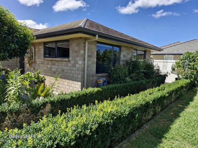 waipu, 1 bedroom