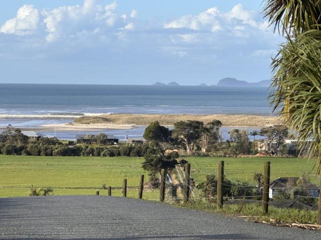 waipu cove, studio