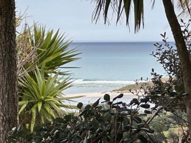 waipu cove, studio