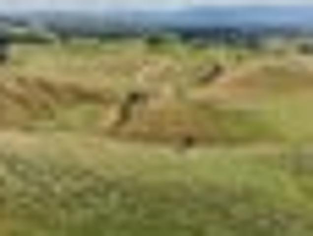 Wairarapa Lifestyle Property For All
