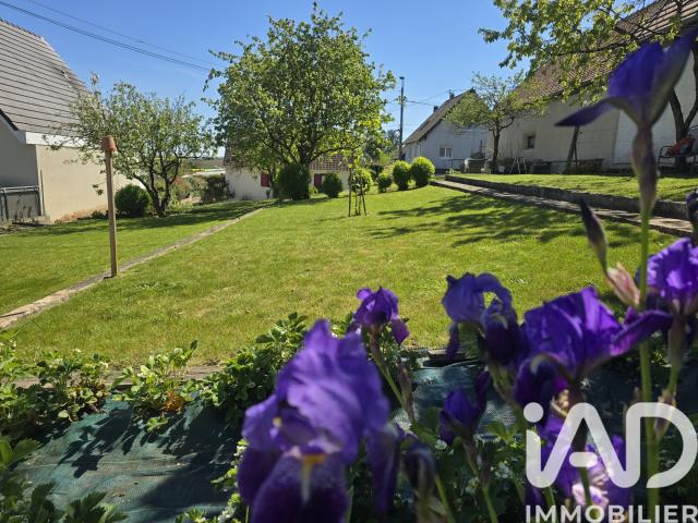 Waltenheim sur Zorn Vente Terrain 67