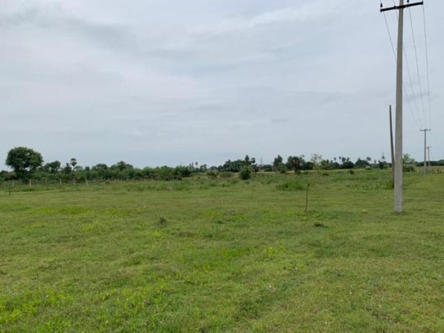 Walajabad Residential Plot For Sale Chennai
