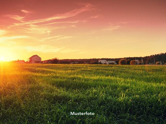Wald und unkultiviertes Land