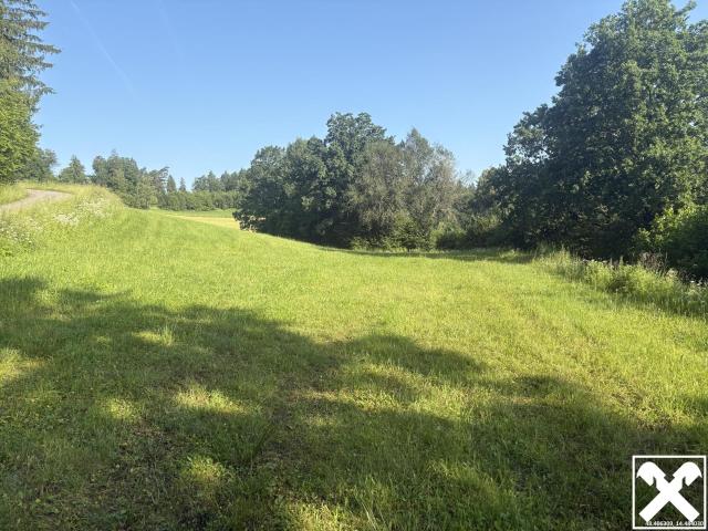 Wald und landwirtschaftliche Nutzflächen