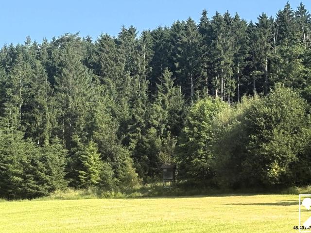 Wald und landwirtschaftliche Nutzflächen