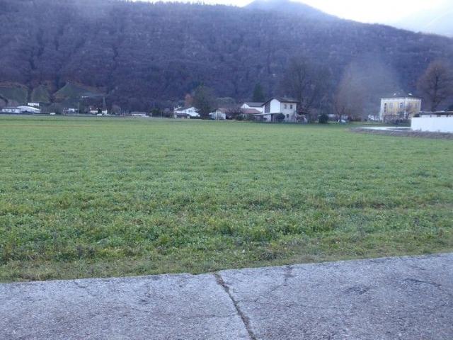 Wald, Wiese/Feld