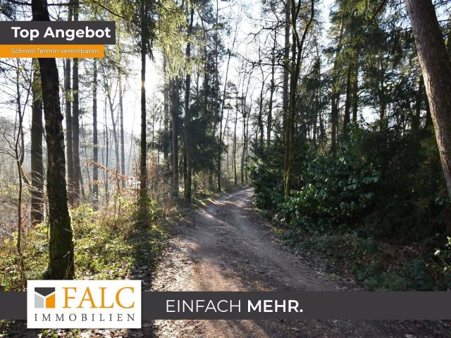 Waldgrundstück für ein Wochenendhaus / Ferienhaus