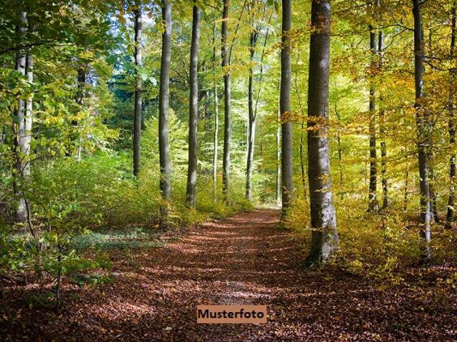 Waldfläche