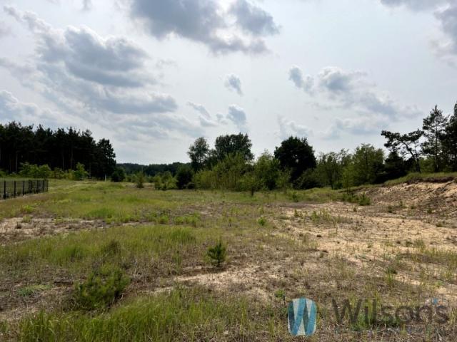 Walecznych 2 000 m², Kołaków