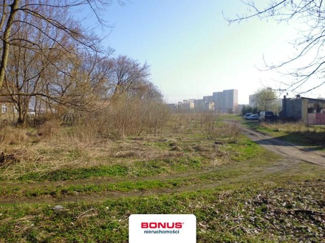 Walecznych 6 266 m², Szczecin