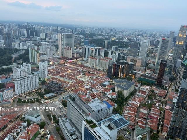 Wallich Residence D2, Condominium