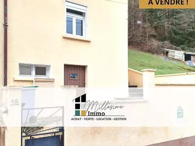 Walscheid 57870 Achat / Vente maison 3 pièces t3 terrasse