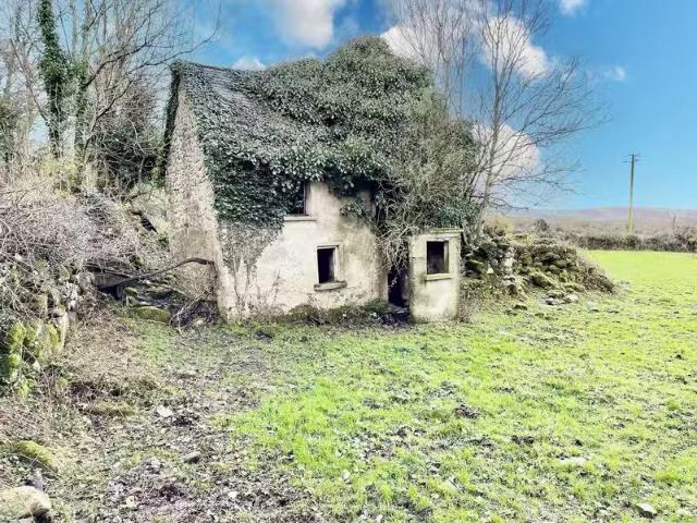 Walshstown, Ballymurphy, Borris, Co. Carlow is for sale