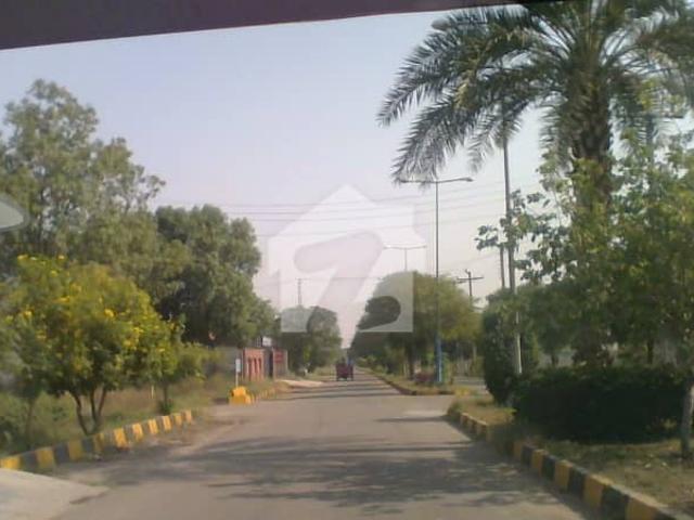 Wapda Twon Kasur Block D