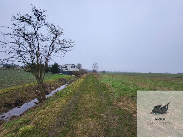 Działki w Warzymicach 3000 m² z mediami i dojazdem