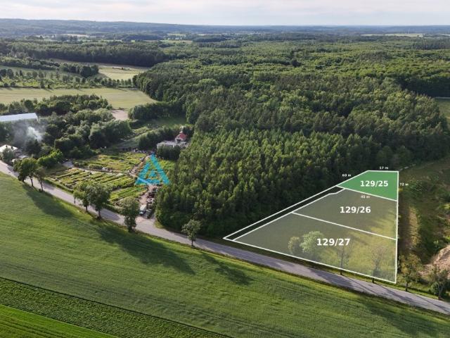 Warcz, 2 000 m2