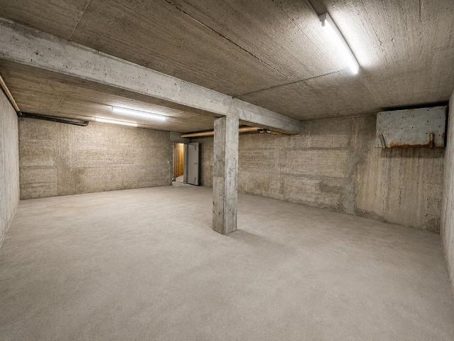 Warehouse for rent in Aarau 50 m² | dreamo. Ch