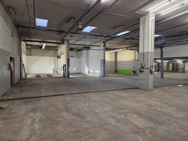 Warehouse for rent in Allschwil 734 m² | dreamo. Ch