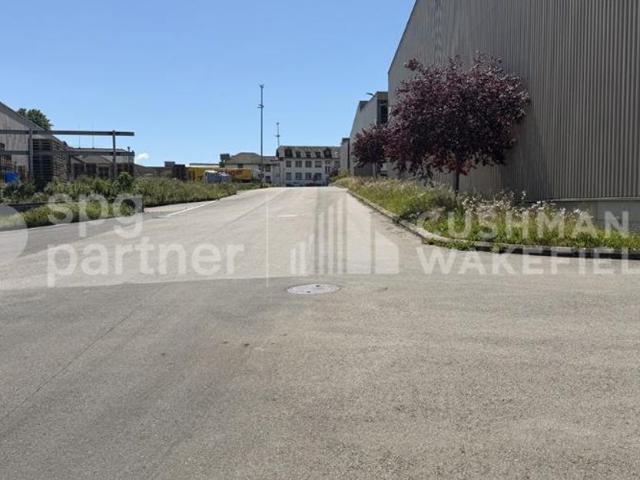 Warehouse for rent in St Prex 1 000 m² | dreamo. Ch