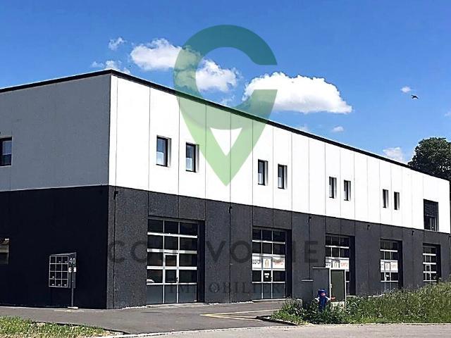 Warehouse for rent in Zone 880 m² | dreamo. Ch