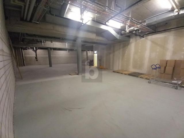 Warehouse with 1 room for rent in Basel 240 m² | dreamo. Ch