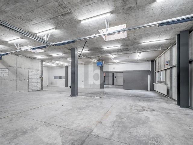 Warehouse with 1 room for rent in Dübendorf 212 m² | dreamo. Ch