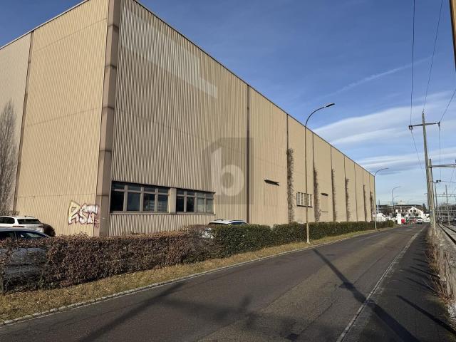Warehouse with 31 rooms for rent in Münchenstein 6 735 m² | dreamo. Ch