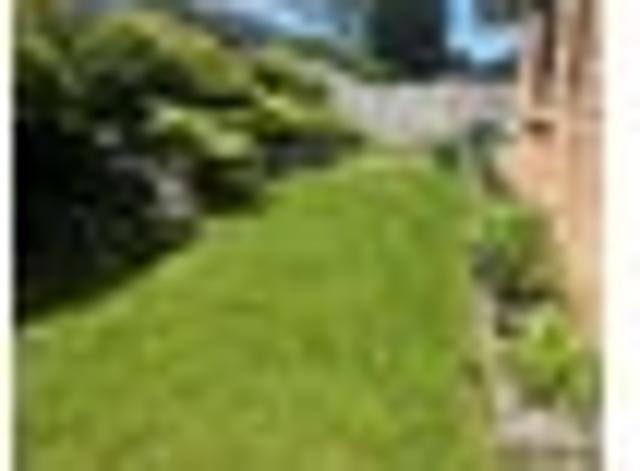 Warkworth, 4 bedrooms, $750 pw