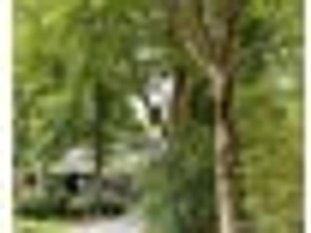 Warkworth, 4 bedrooms, $850 pw