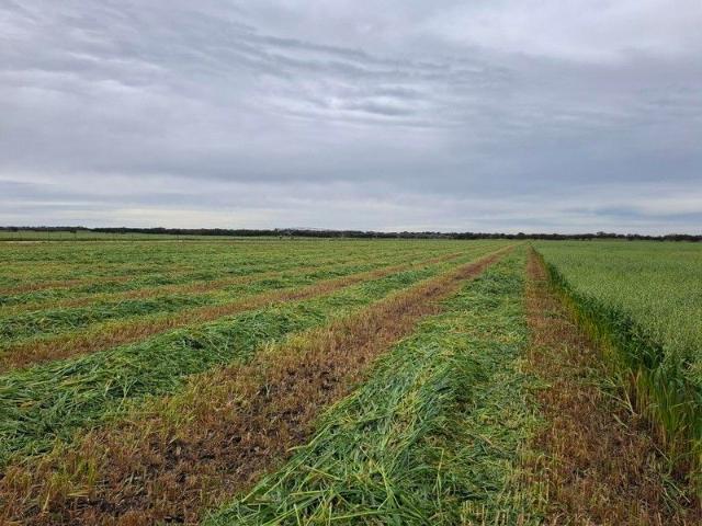 Warm Mixed Farming Property + Pivot