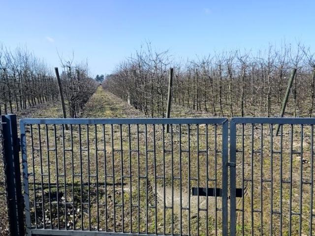 Działka 1 200 m², Warpęsy