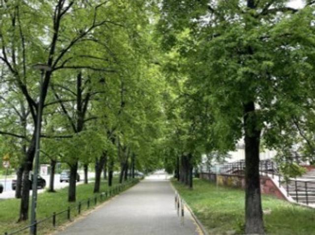 Warszawa, Targówek, Łojewska