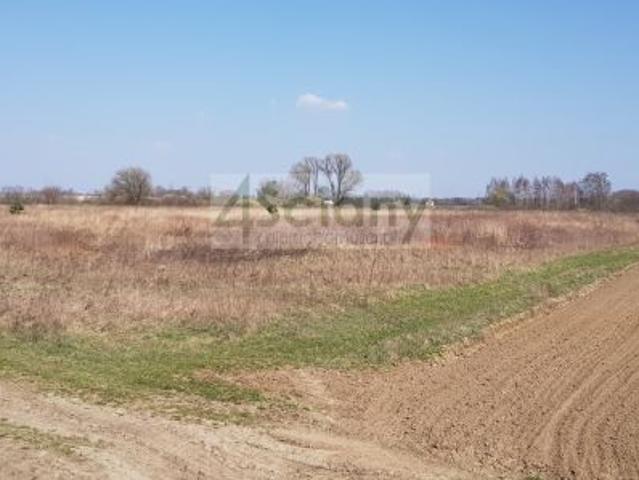 Warszawa, Wilanów, 13500 m² Działka