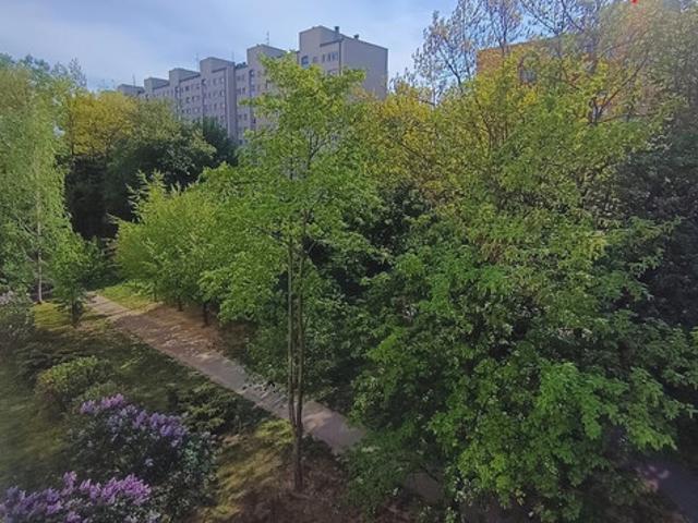 Warszawa, Wola, Tadeusza Krępowieckiego