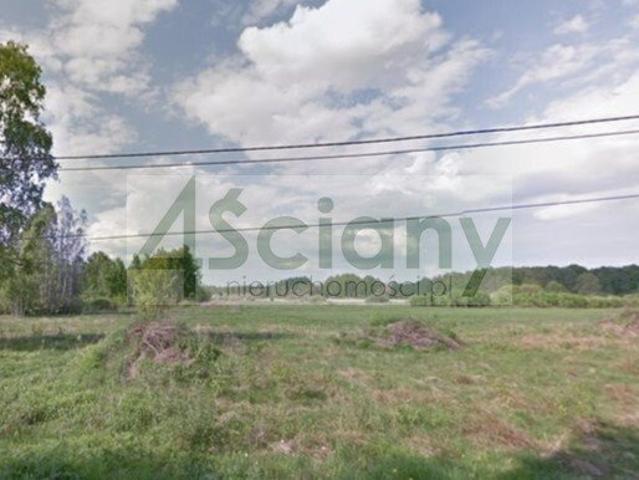 Działka 2128 m² z warunkami zabudowy i starodrzewiem