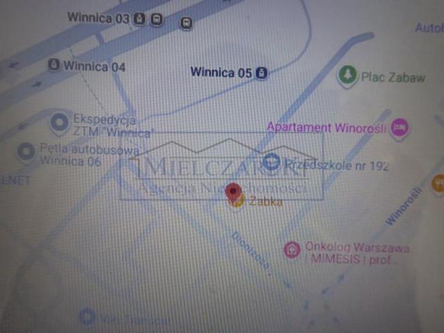 Warszawa, Białołęka, Winnica, Dionizosa