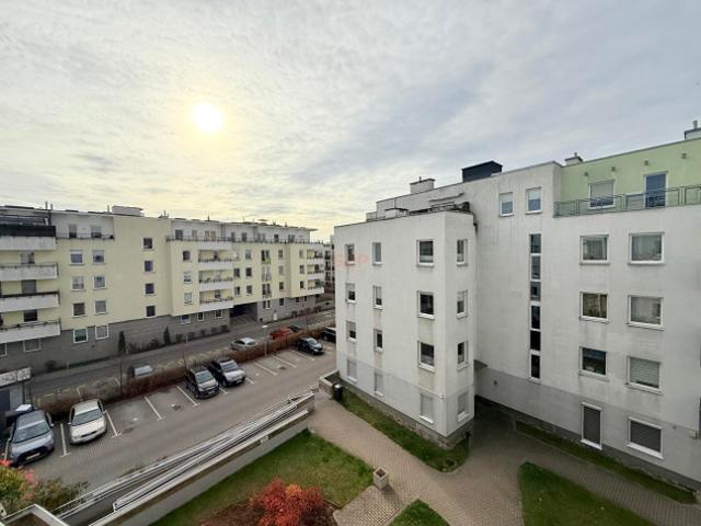 Warszawa, Białołęka, Nowodwory, Strumykowa