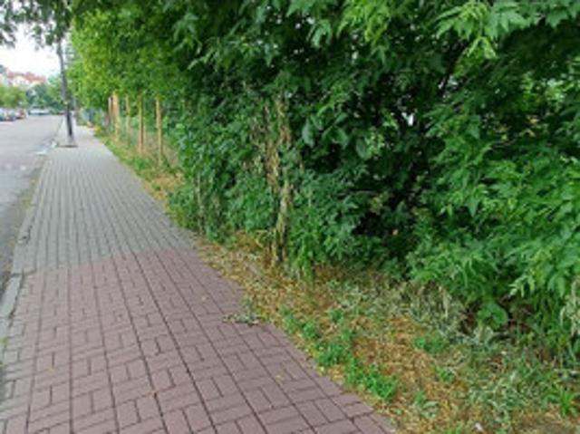 Warszawa, Bielany, Młociny