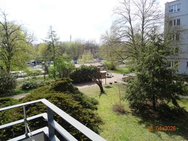 Warszawa, Bielany, Las Bielański, Podleśna