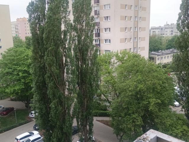 Warszawa, Bielany, Przy Agorze