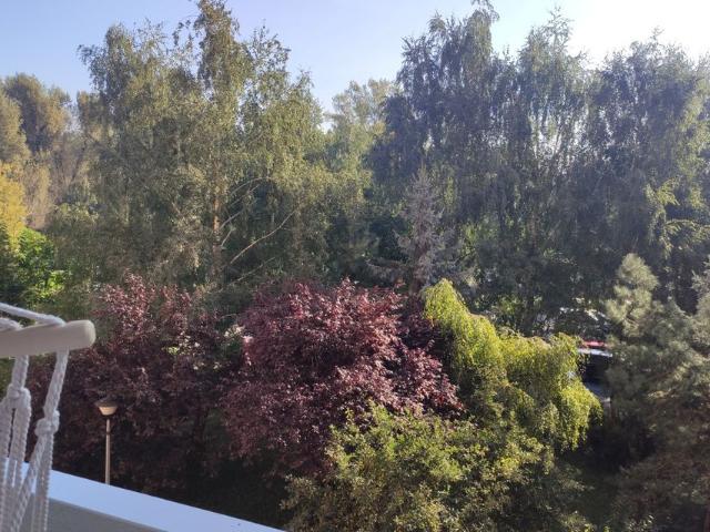 Warszawa, Bielany, Ruda, Gwiaździsta