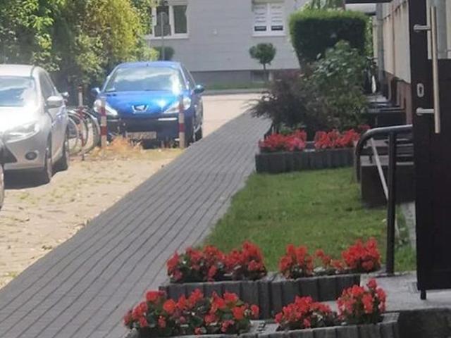Warszawa M. Warszawa, Praga Południe, Saska Kępa, Niekłańska