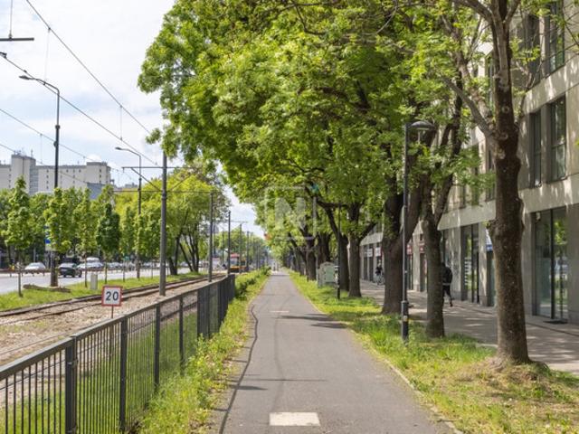 Warszawa, Mokotów, Służew, Niedźwiedzia