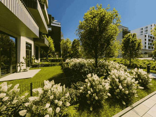 Warszawa, Mokotów