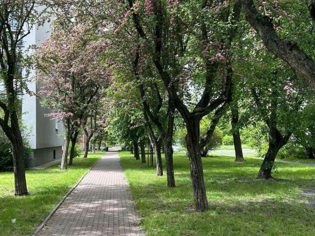 Warszawa, Ochota, Rakowiec, Walentego Skorochód Majewskiego