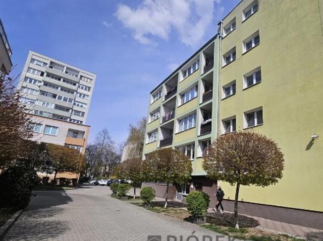 Warszawa, Praga Południe, Argentyńska